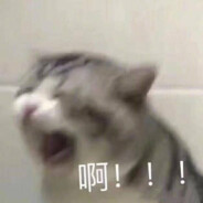 就™你叫夏洛呀