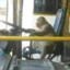 Monkey Driver Simulator 2