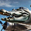 CROCODILO