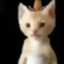 catowner2000