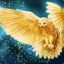 Gold_Owl