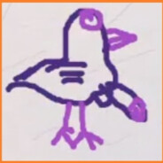Pigeon555