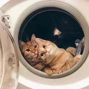 既然蓦然默然666