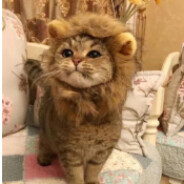 吾醉欲眠君且去