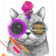 intergalatic_crypto_cat