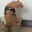 adimpose