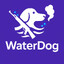 八WaterDog十三