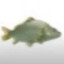 gerold