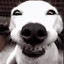 Yawnhy