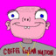 coffee enema nation