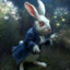 White Rabbit