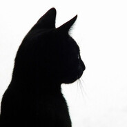 Черная пантера