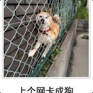 万万没想到