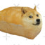 dogbreadko