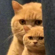 取个名字真TM难🐱‍👓