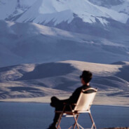 你的牛至不见了