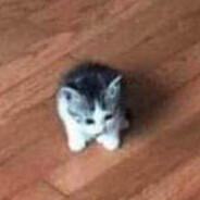 The smallest soldier avatar