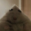 short and fat