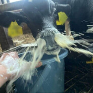 over here strokin my shjt