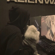 随机职业赢对开