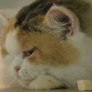 佛大幼稚园园长