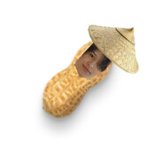 Burnt Peabodu