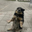 УХУХУХУХУХУ