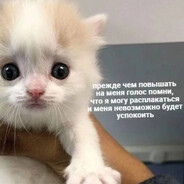 Кибер Тефтелька - steam id 76561199230978547