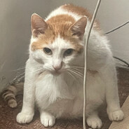 prolem - steam id 76561198308982443