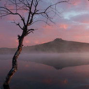 昨夜小楼又东风
