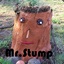 Mr.Stump