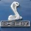 Shelby_vS &lt;3