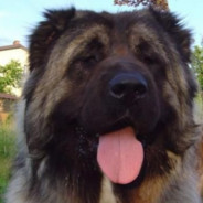 冲啊旋风冲锋龙卷风