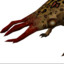 Johnny_B_Squid