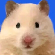 社会主义接班人