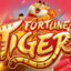 Fortune TIger