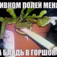 Mertild