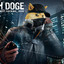 wath_doge