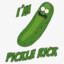 picklebrick_