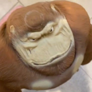 kr1mpleᵇʳᵒᵏᵉⁿ