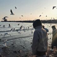 再看一次流星雨