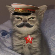 Барсик Шариков