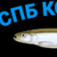 Солевая корюшка