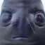 kevert