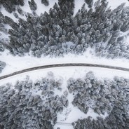 内裤给我看下可好