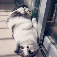 陈子君家的 小可爱