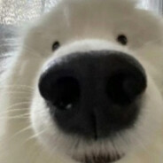 勒布朗·雷蒙·詹姆斯