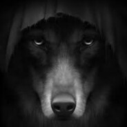 Alpha Wolf Among Betas