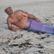 mormon merman