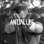 ANTIALLES